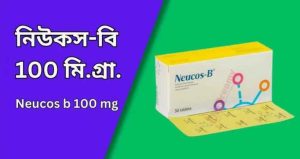 নিউকস বি